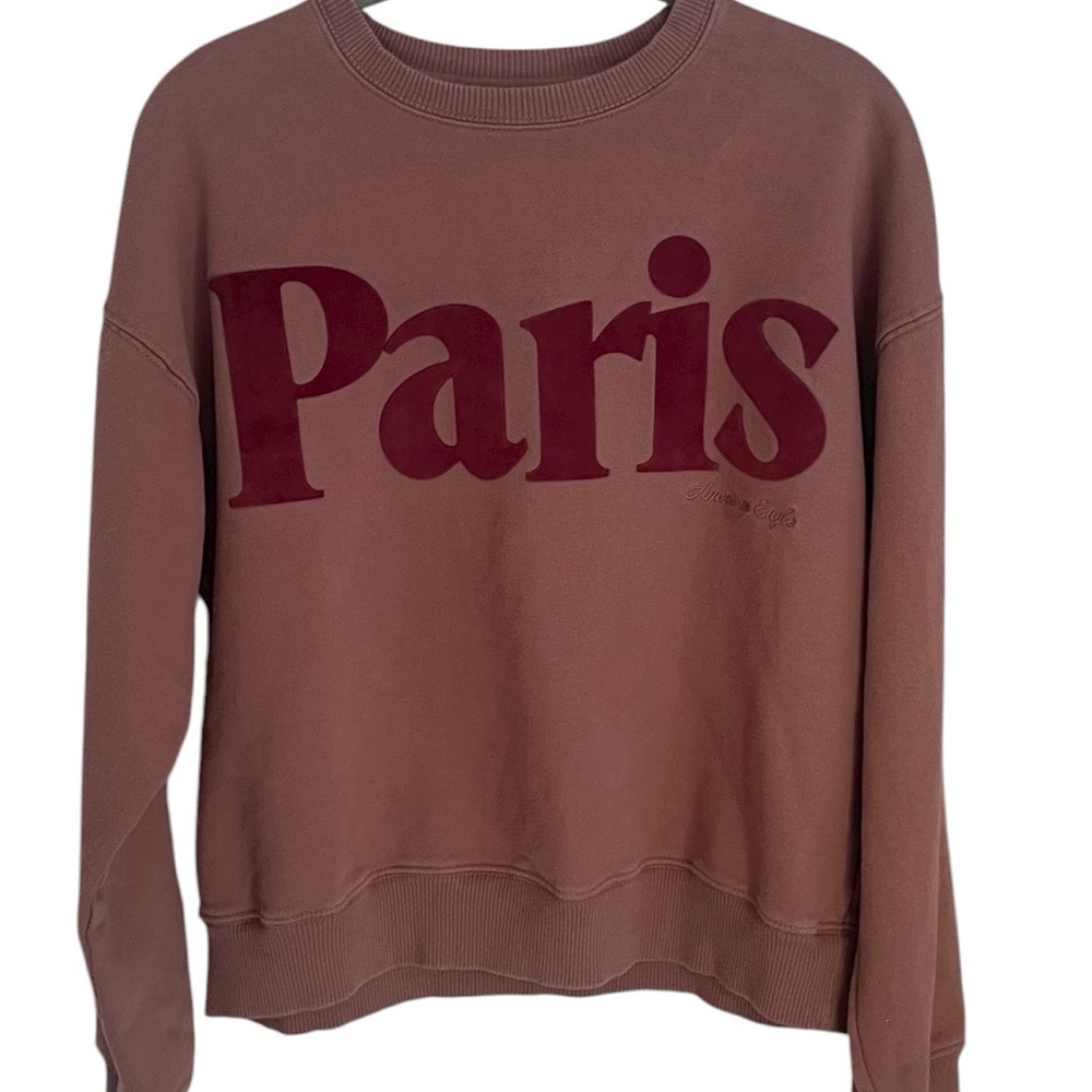 Womens American Eagle Graphic Sweatshirt - Brown.